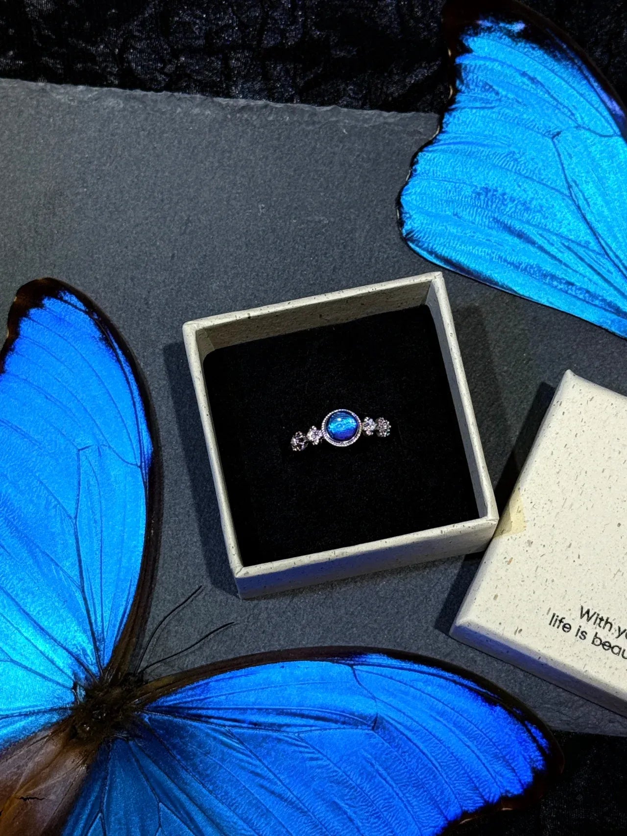 Butterfly Wing Specimen Ring | Handmade Nature-Inspired Jewelry (Multiple Styles) Style 6
