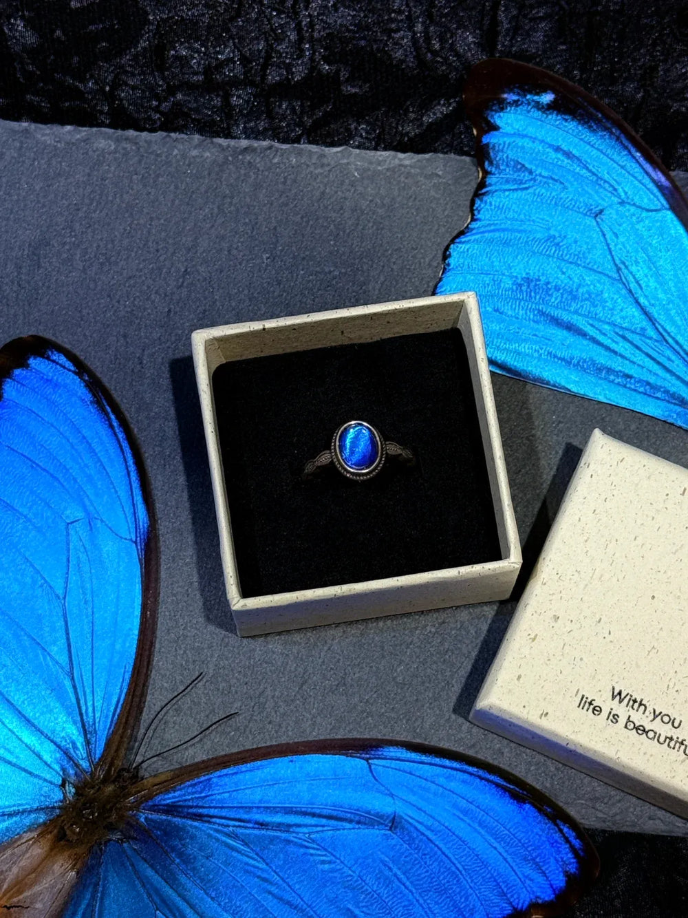 Butterfly Wing Specimen Ring | Handmade Nature-Inspired Jewelry (Multiple Styles) Style 4