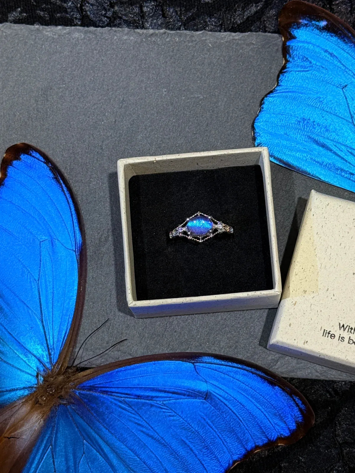 Butterfly Wing Specimen Ring | Handmade Nature-Inspired Jewelry (Multiple Styles) Style 1