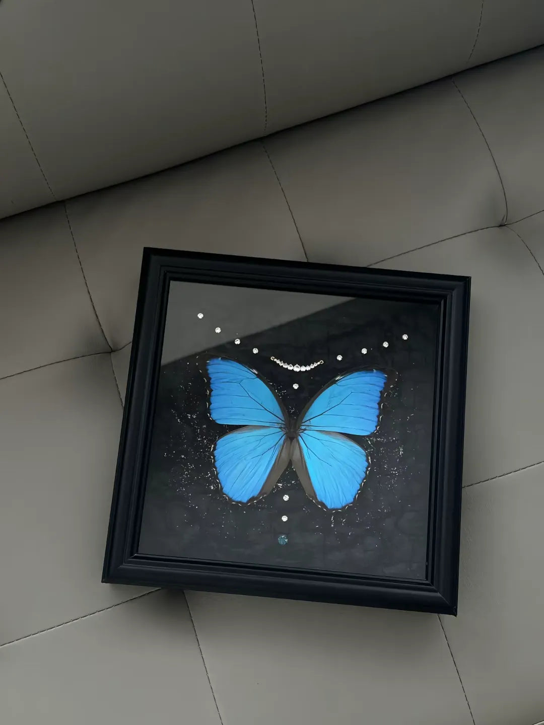 Real Blue Morpho Butterfly Frame – Handmade Specimen Wall Decor