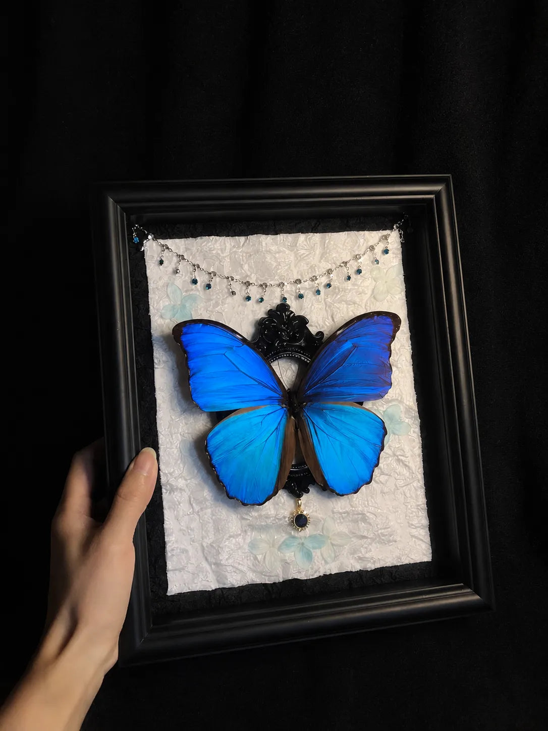 Real Blue Morpho Butterfly Frame – Handmade Specimen Wall Decor