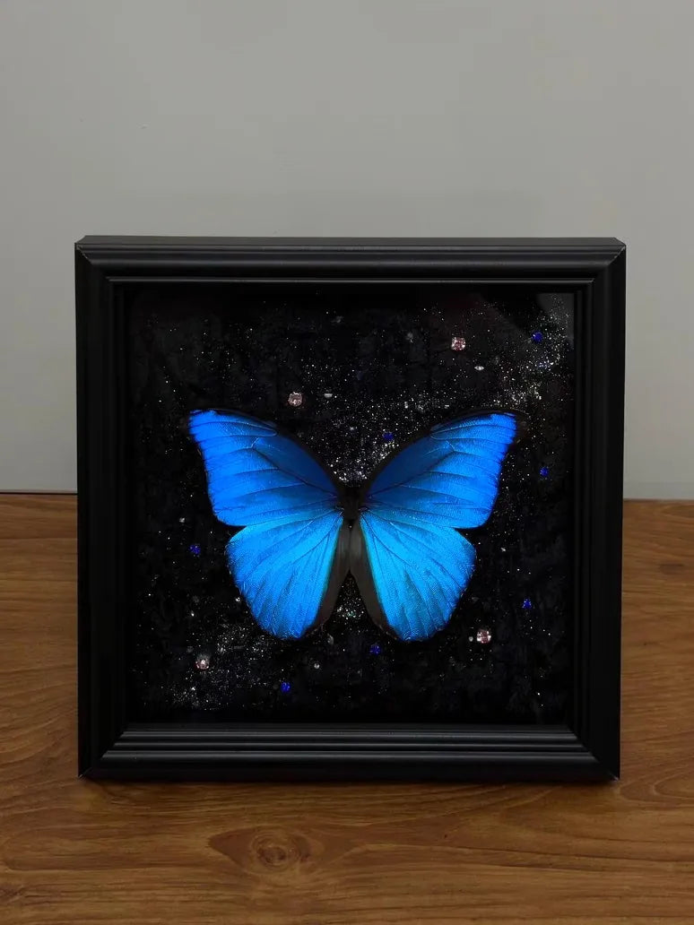 Real Blue Morpho Butterfly Frame – Handmade Specimen Wall Decor