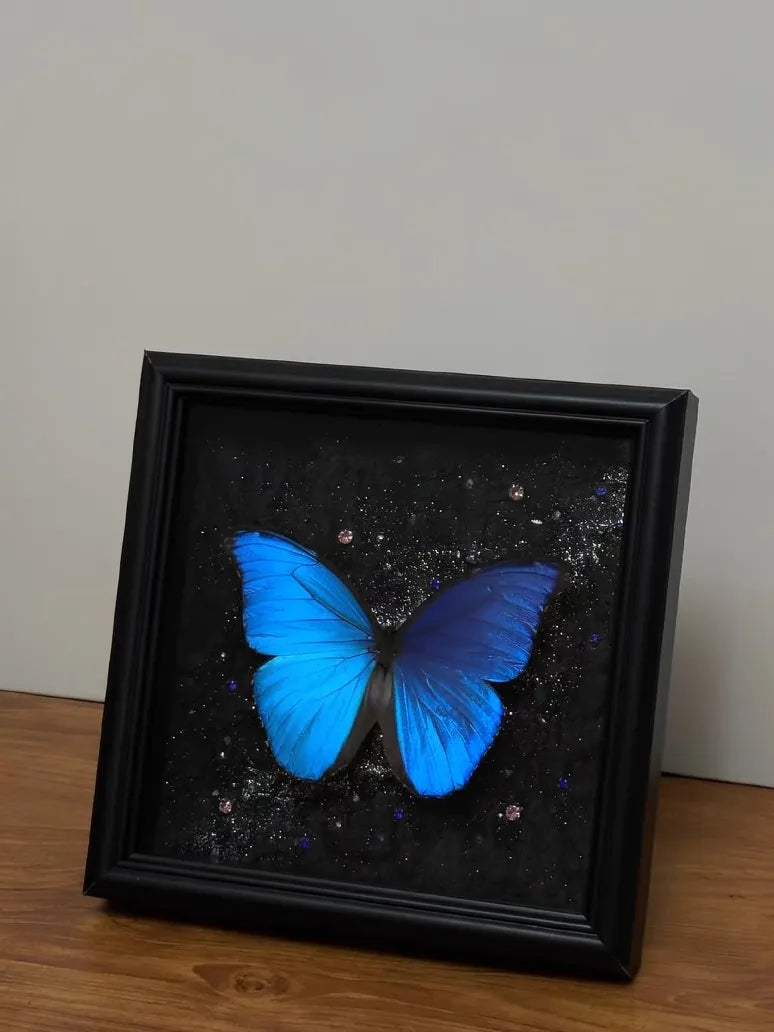 Real Blue Morpho Butterfly Frame – Handmade Specimen Wall Decor