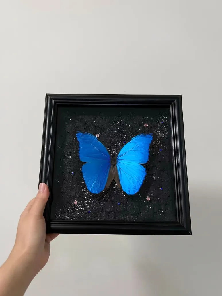 Real Blue Morpho Butterfly Frame – Handmade Specimen Wall Decor
