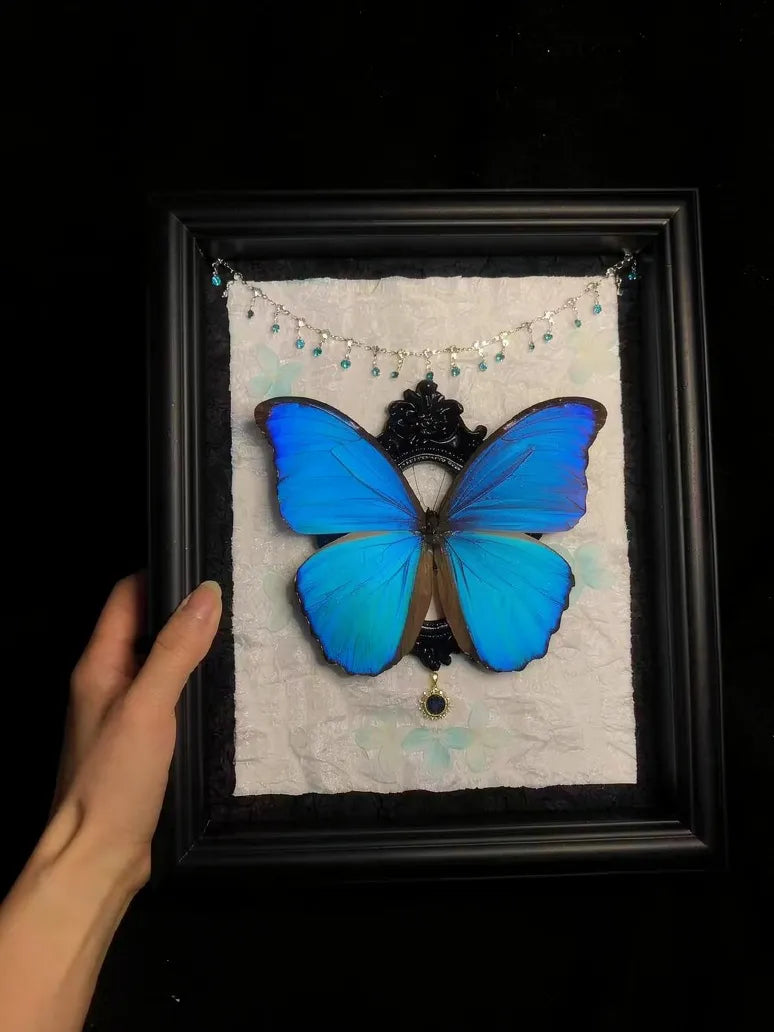 Real Blue Morpho Butterfly Frame – Handmade Specimen Wall Decor