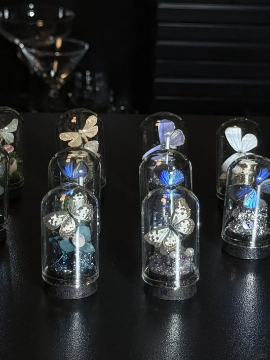 Butterfly specimen gift with Complimentary Gift (Not Sold Separately) Style 2