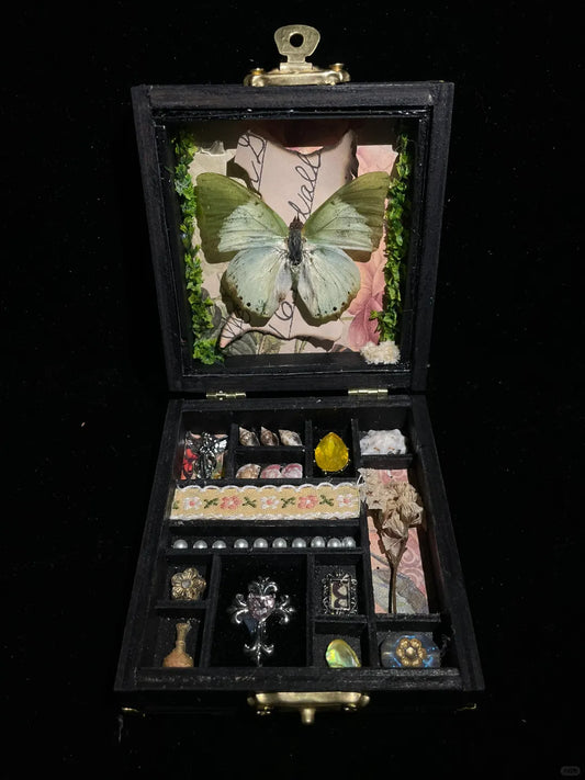 Butterfly Specimen Gift – Small Box -Pale Green Nymphalid Butterfly Style 1