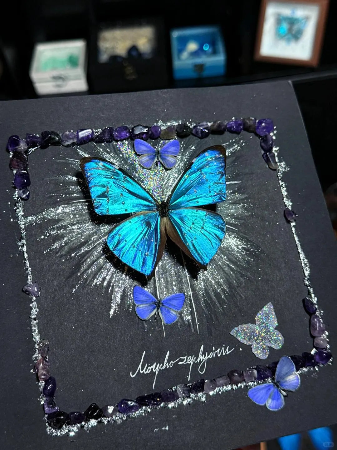 Butterfly Specimen Frame – Whispers of Blue