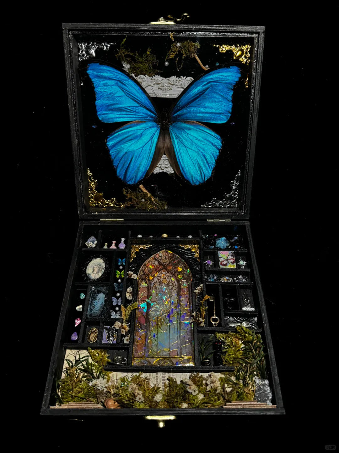 Mystical Butterfly Specimen Gift Box – Curio Cabinet with Real Blue Morpho & Gothic Miniatures