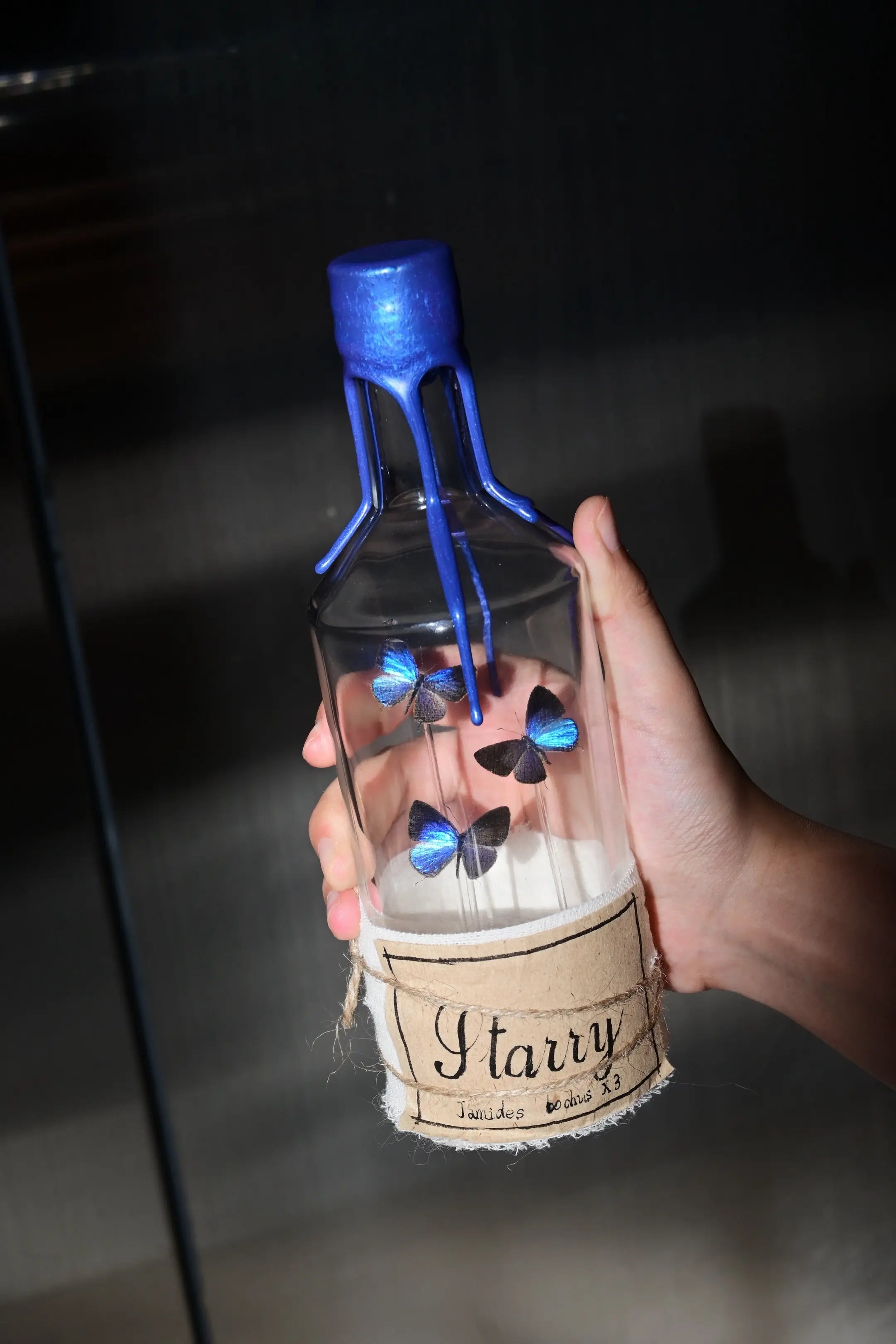 Starry Bottle – Real Blue Butterflies in a Glass Jar Display