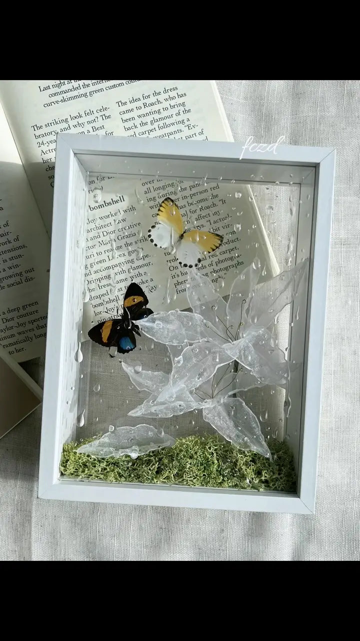 Ethereal Duo – Butterfly Specimen Frame with Artistic Plastic Leaves