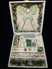 Whispers of the Moon – Luna Moth Specimen Gift Box 🌙🦋