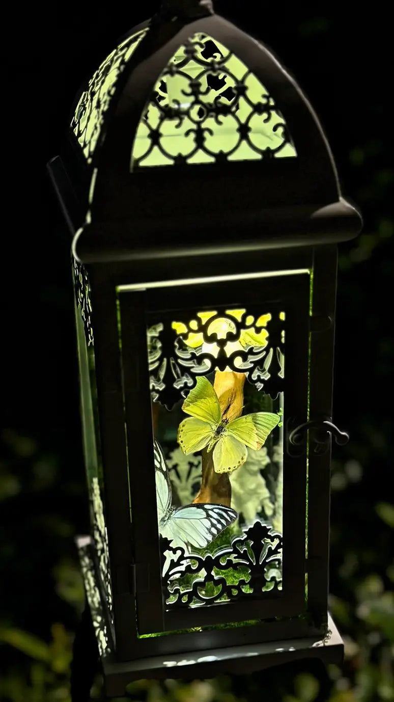 Butterfly Lantern Night Light – Handmade Specimen Lamp with Vintage Design