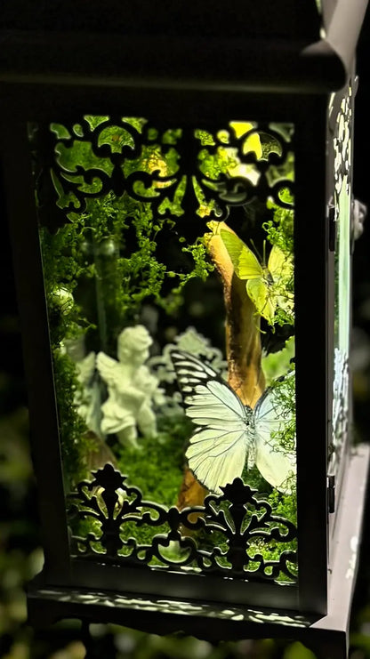 Butterfly Lantern Night Light – Handmade Specimen Lamp with Vintage Design