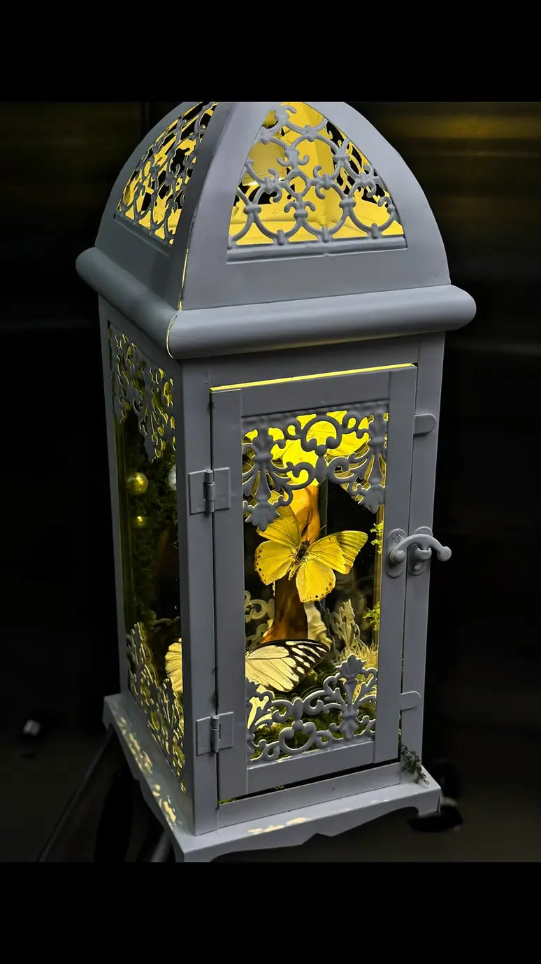 Butterfly Lantern Night Light – Handmade Specimen Lamp with Vintage Design