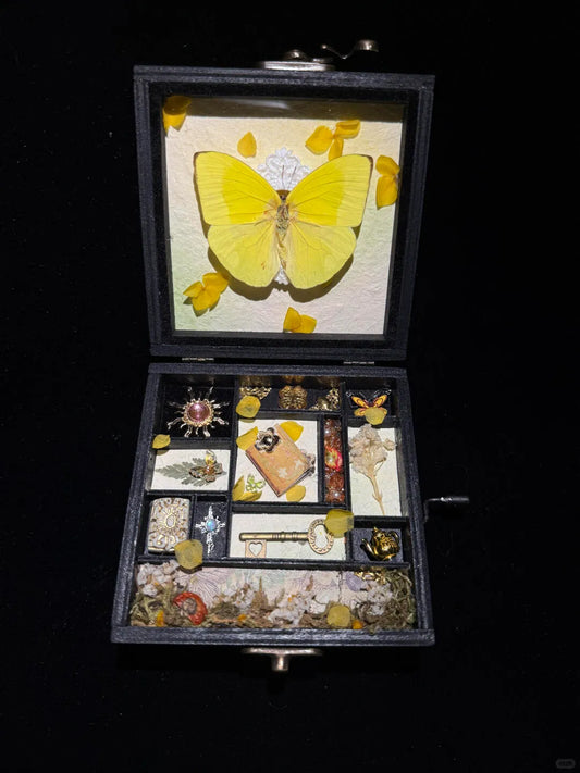 Yellow Butterfly Music Box – Handmade Specimen Keepsake with Vintage Charm