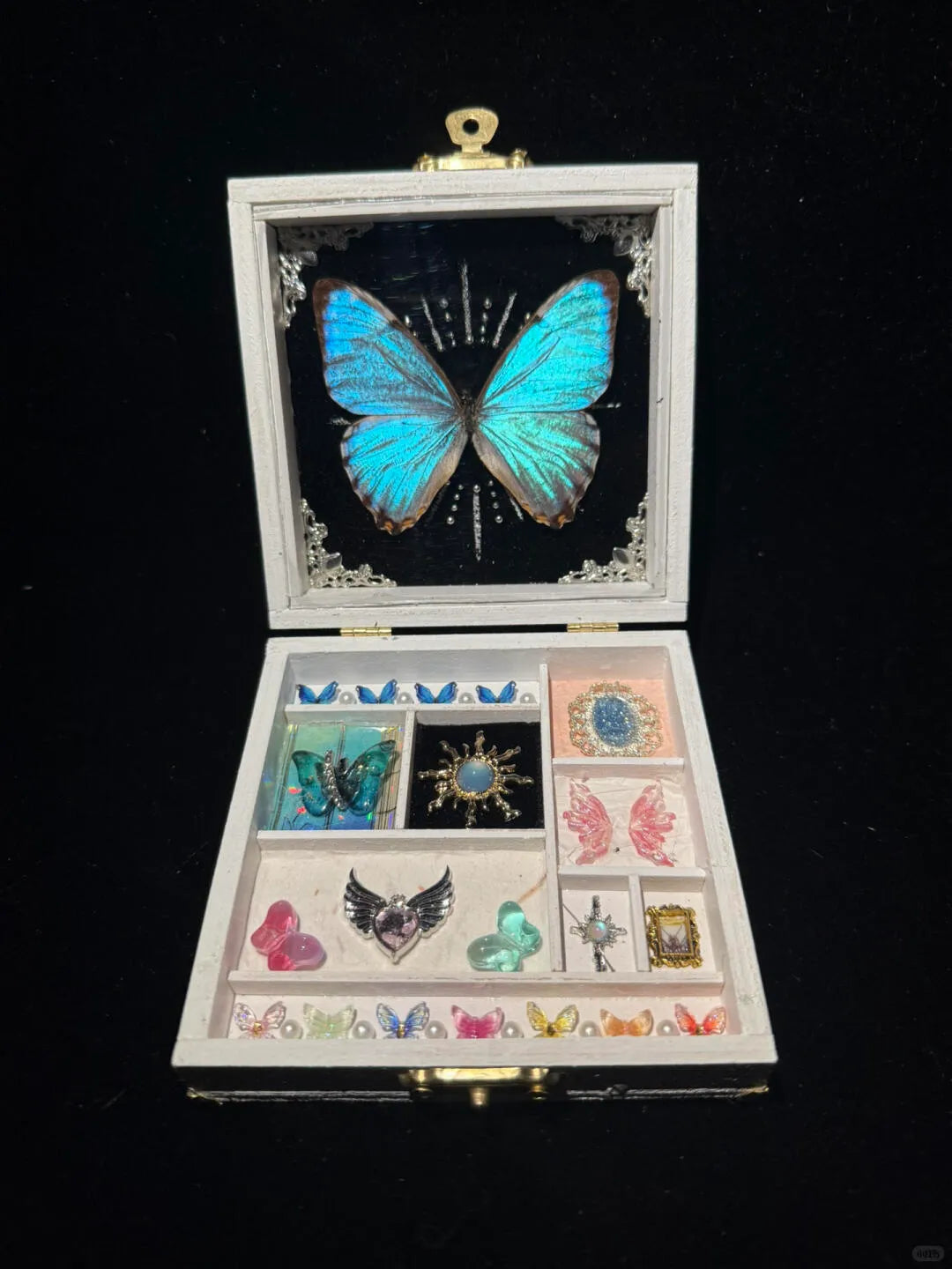 Blue Morpho Butterfly Keepsake Box – Handmade Specimen & Jewelry Display