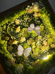 Gray-Violet Butterfly Specimen Box – Handmade Nature Keepsake with Realistic Details