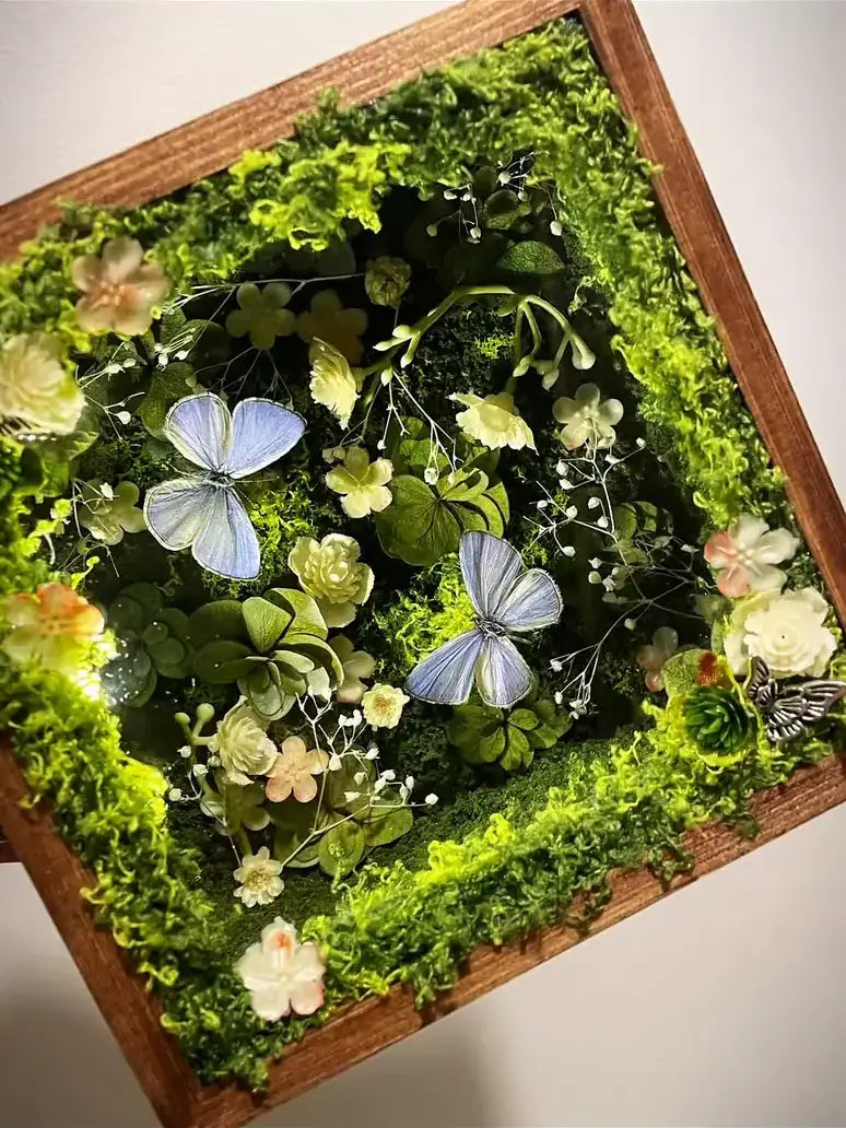 Gray-Violet Butterfly Specimen Box – Handmade Nature Keepsake with Realistic Details