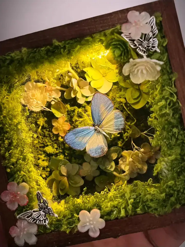 Glowing Butterfly Specimen Box – Handmade LED Butterfly Shadow Box Decor