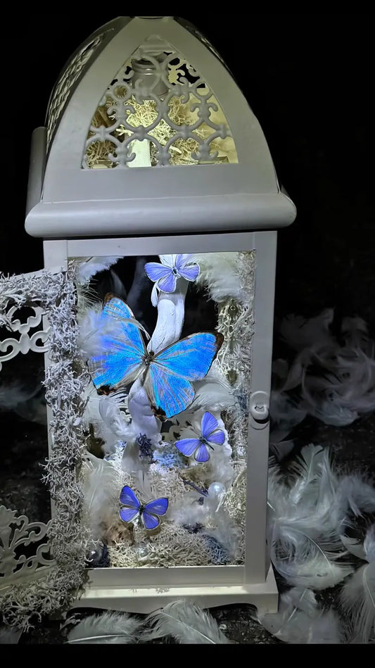 Blue Morpho Butterfly Lantern – Handmade Nature Diorama Light | Vintage Decorative Gift