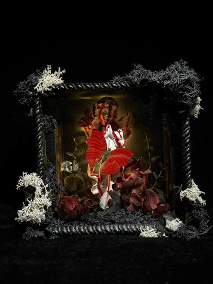 Blood-Stained Angel Prayer Butterfly Specimen Box – Gothic Handmade Red Butterfly Gift