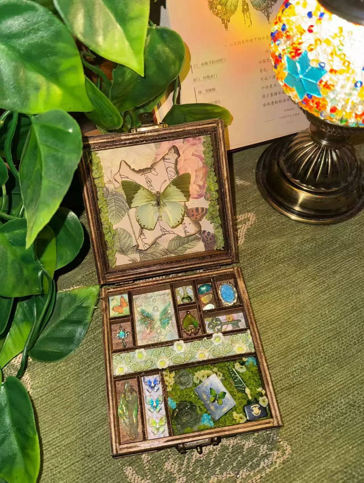 Butterfly Specimen Curio Box – Handmade Botanical Keepsake