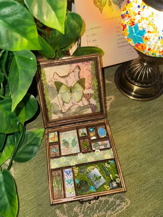 Butterfly Specimen Curio Box – Handmade Botanical Keepsake